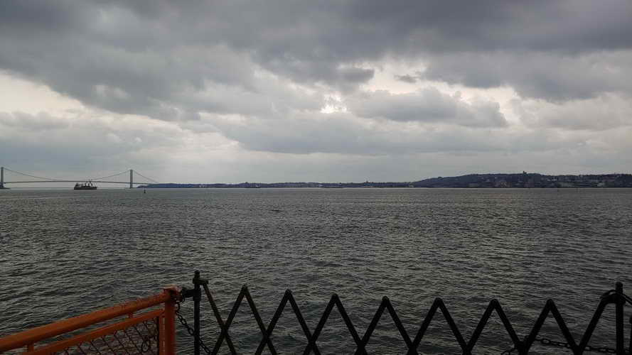 NYC_2020-02-02 13-15-53_CELL_20200202_131553